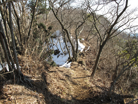 20160128hike (202)